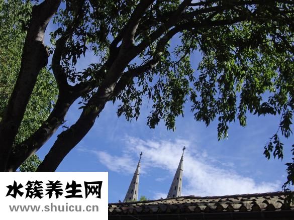 體內(nèi)濕邪重怎么辦