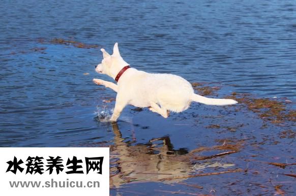 不會右腳踢球怎么辦