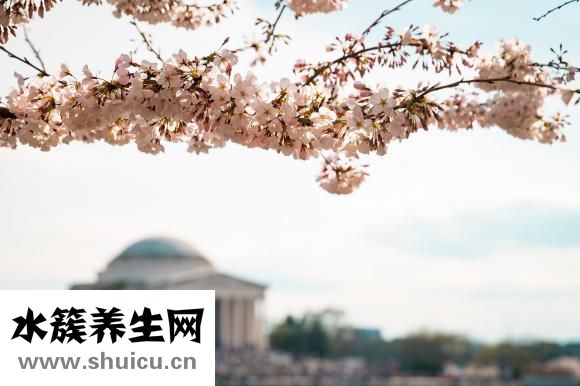 產(chǎn)后發(fā)燒咳嗽怎么辦