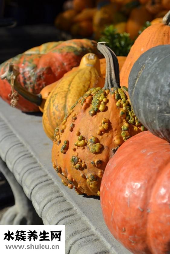 南瓜泥怎么保存