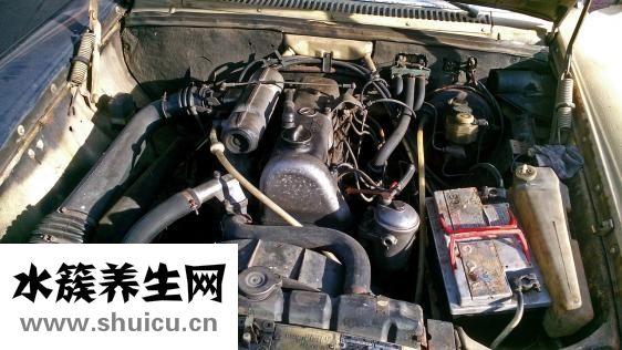 人胎盤怎么清洗