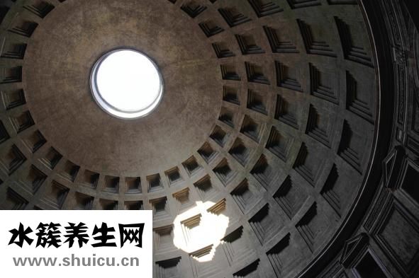 叉花瓶怎么維護(hù)