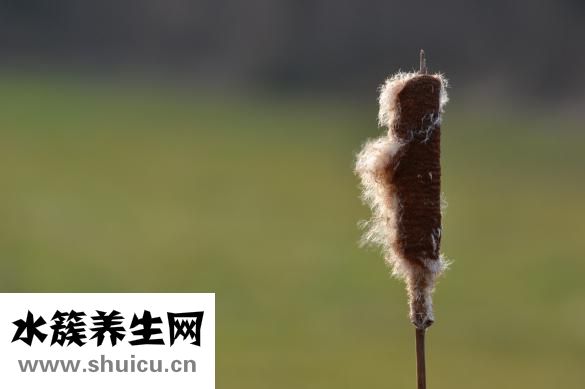 保留指數怎么查