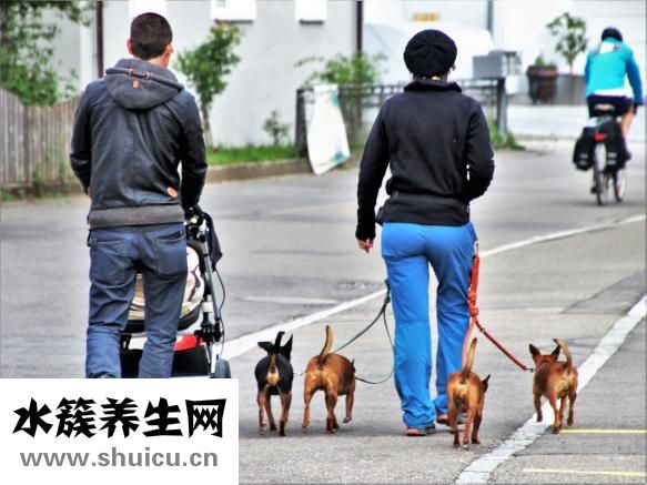 低血壓手腳麻怎么辦