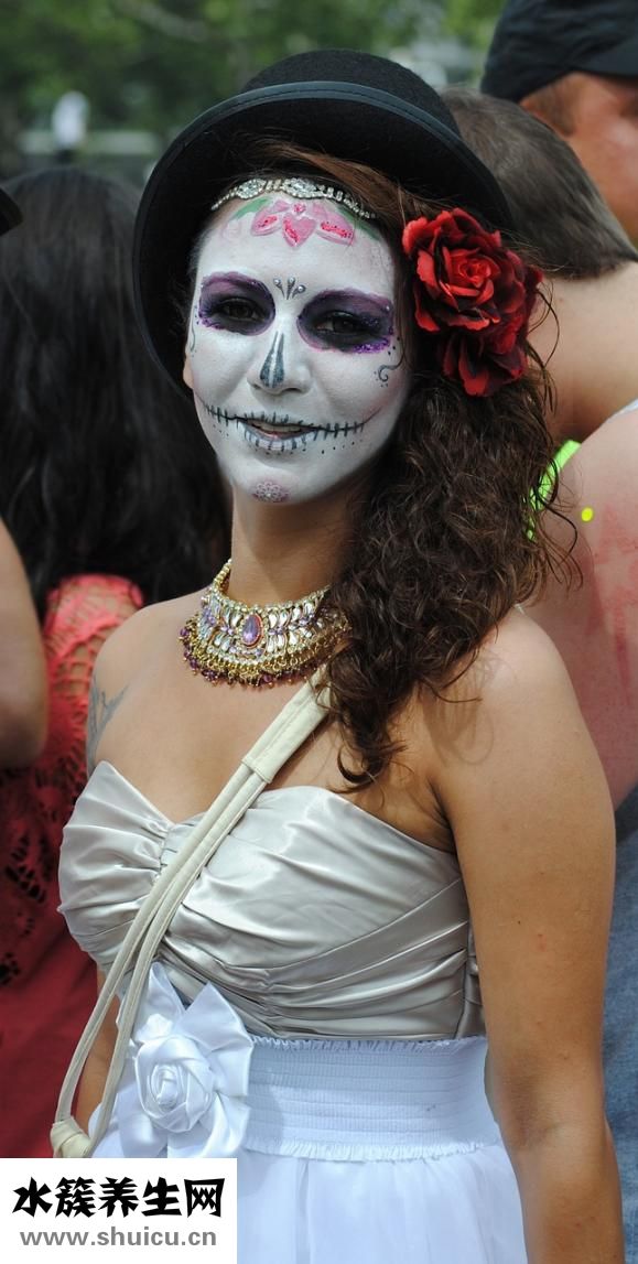 萬圣節(jié)螃蟹怎么養(yǎng)