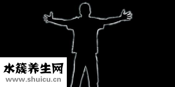 吉娃蓮怎么繁殖