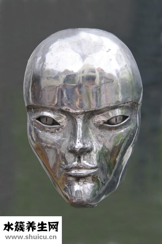 吉娃蓮怎么繁殖