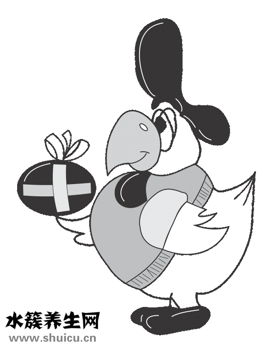 不吃雞蛋怎么辦