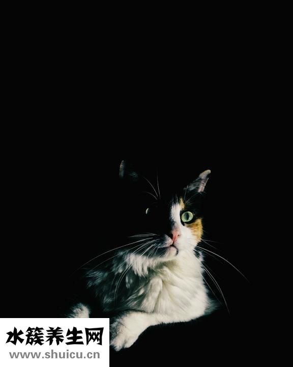 雙眼皮怎么涂眼影