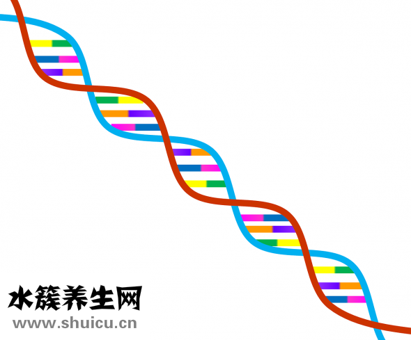 吃飯狂咳嗽怎么辦
