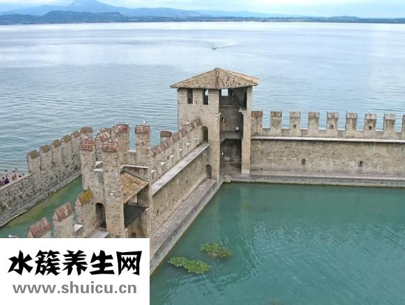 冬天生姜怎么保存