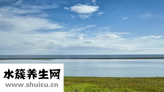 九云朵祛斑霜怎么用