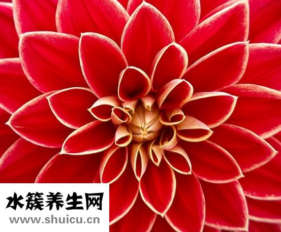 一元秒殺怎么參加