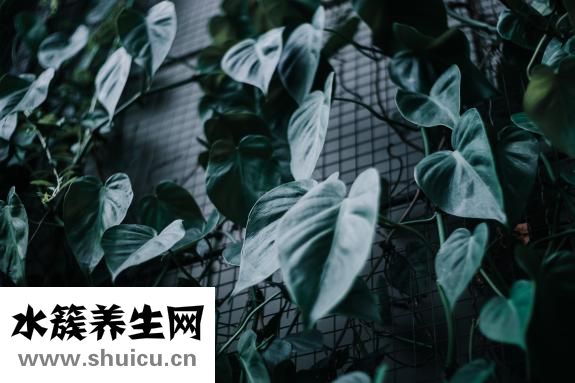 不想理一個(gè)人怎么辦