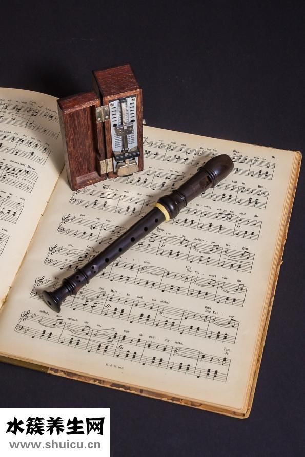 兩只狗狗打架怎么辦