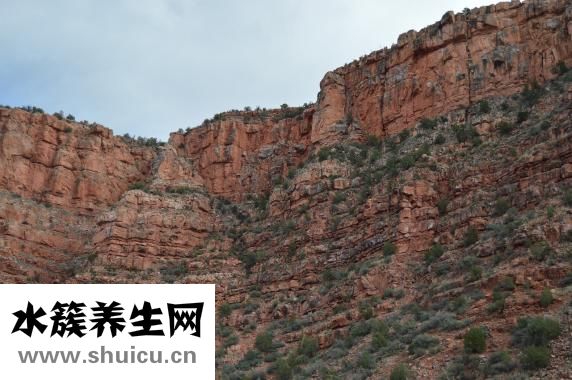 產后病假怎么寫