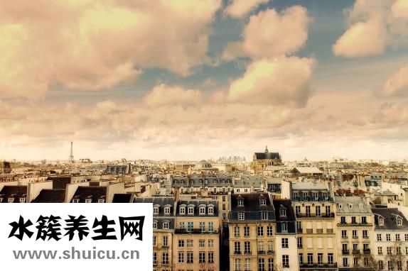 博美身上長疤怎么辦