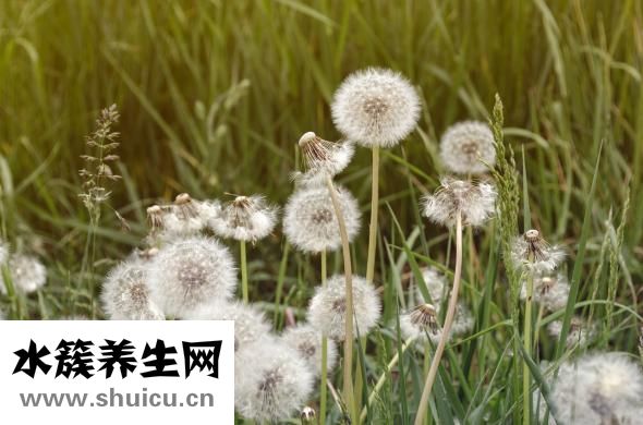 乳暈干燥怎么辦