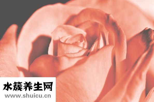 減肥抑郁癥怎么治療