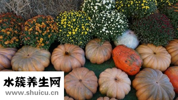 包菜飯怎么做好吃吃