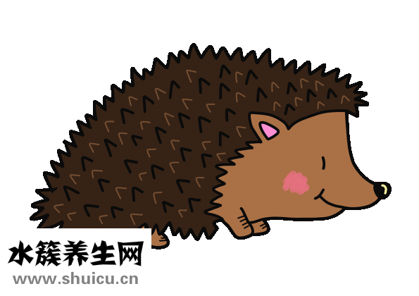 刺猬腿傷了怎么辦