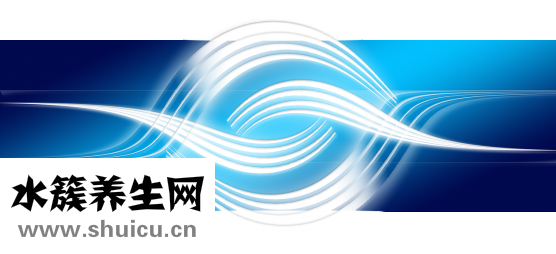 叉花瓶怎么維護(hù)