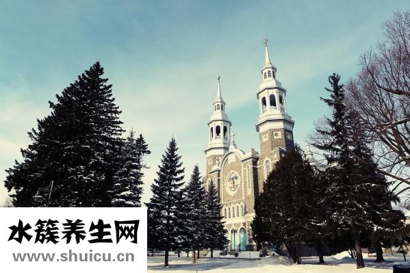 從澳洲怎么去南極