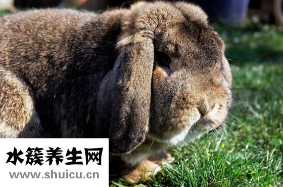 咽痛耳朵癢怎么回事