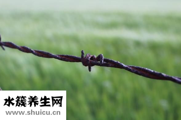 八字祿神怎么看