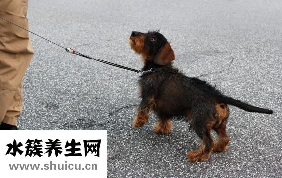 吃了生臘腸怎么辦