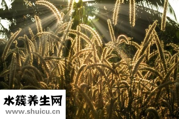 嘔制肥料太臭怎么辦