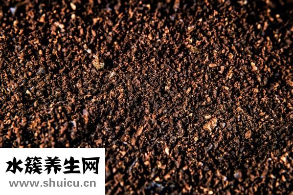 可可粉怎么沖泡