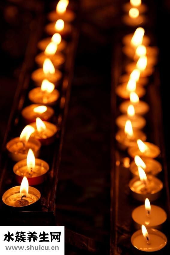 臥室里有蟲子怎么辦