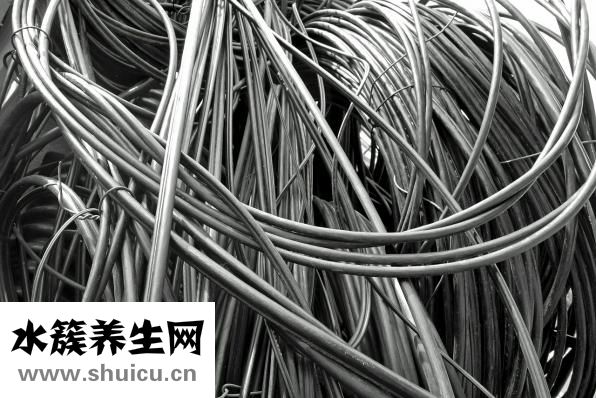 喜寶的階段怎么分啊