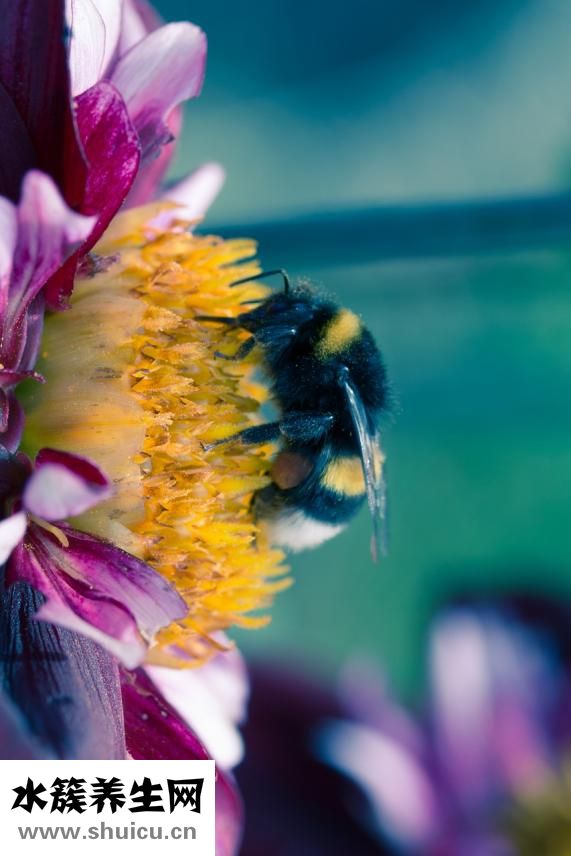 喝醉了怎么照顧