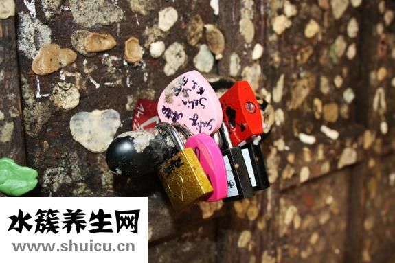 做魚沒有姜怎么辦