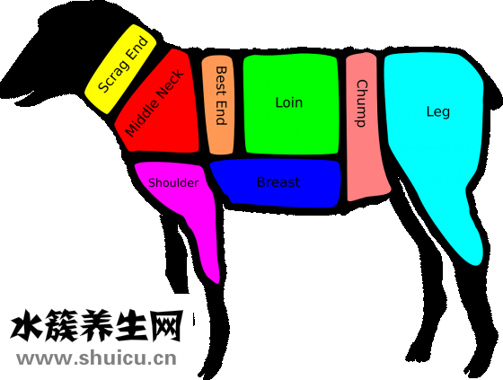 沖羊煞東怎么破