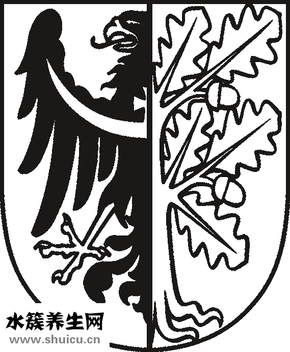 吊眼角怎么畫眼線