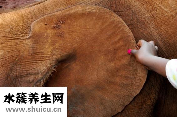 咽痛耳朵癢怎么回事