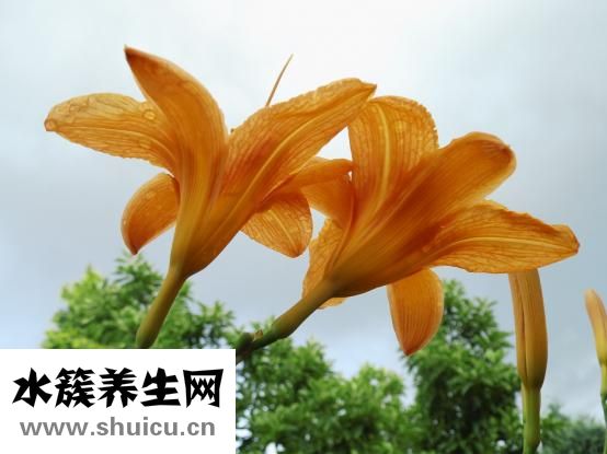 喝酒前應該怎么做