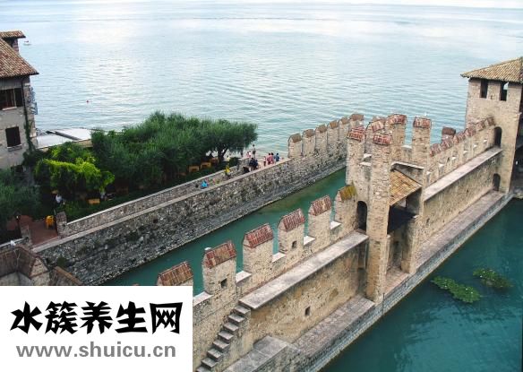 不想學車怎么請假