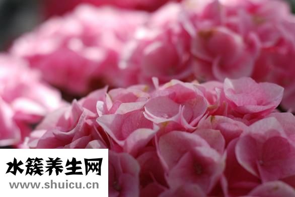 前男友要復合怎么辦