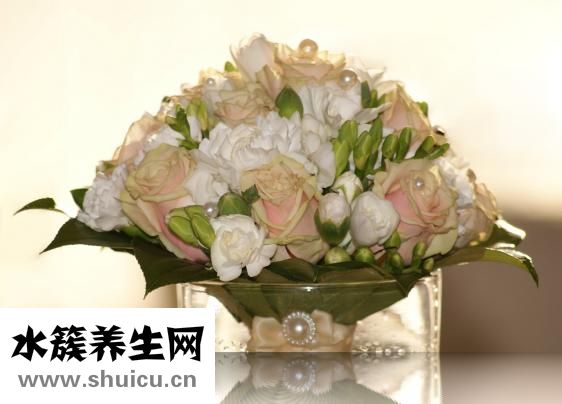 君子飲酒怎么怎么