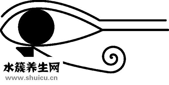 下眼長針眼怎么辦