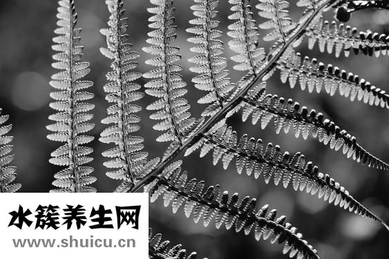 吊眼角怎么畫眼線