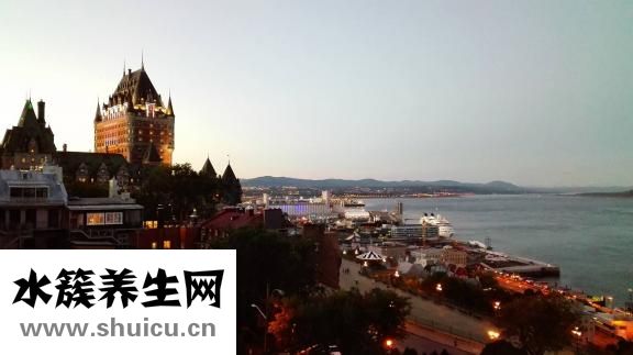 從澳洲怎么去南極