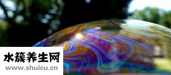 卷丹百合怎么得到的