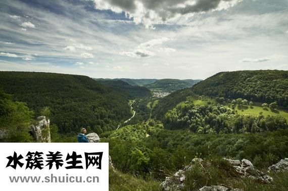 尿白蛋白高怎么回事