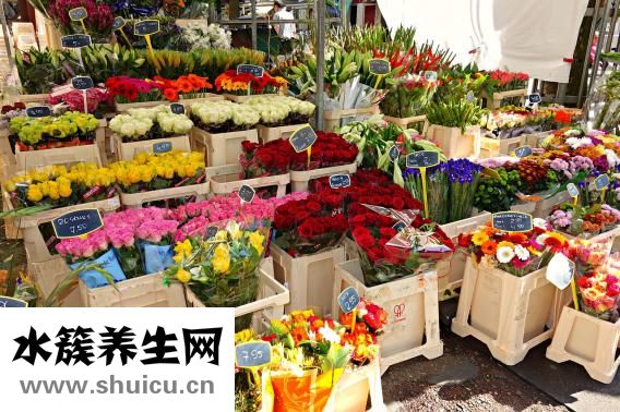 奧特曼韓文怎么寫