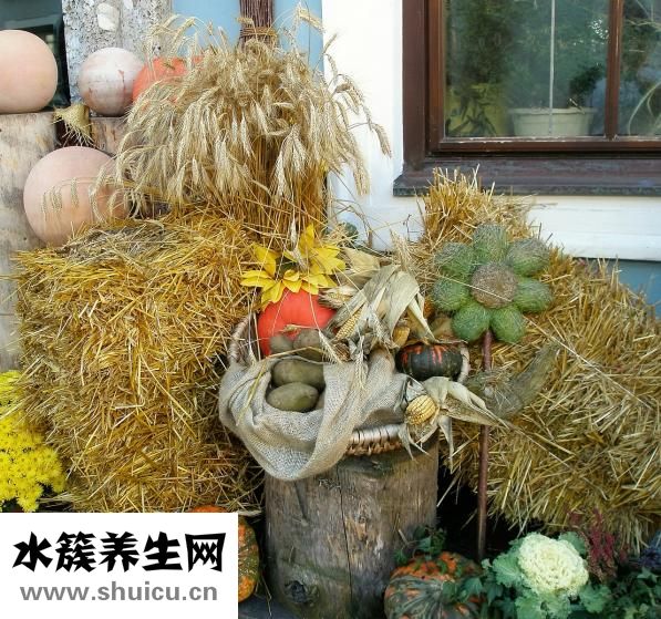 熟食怎么做服務(wù)上門